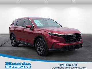 2026 Honda CR-V for sale in Cleveland TN