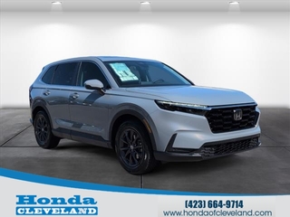 2026 Honda CR-V for sale in Cleveland TN