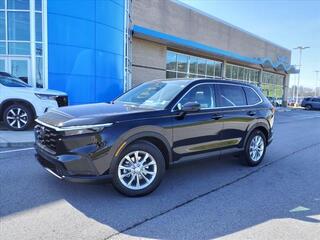 2024 Honda CR-V for sale in Gallatin TN