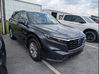 2025 Honda CR-V for sale in Bowling Green KY