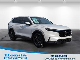 2026 Honda CR-V for sale in Cleveland TN