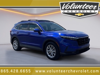 2025 Honda CR-V for sale in Sevierville TN