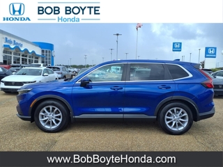 2025 Honda CR-V for sale in Brandon MS