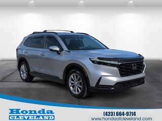 2025 Honda CR-V for sale in Cleveland TN
