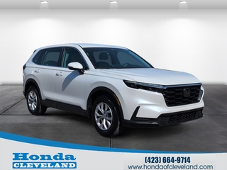 2024 Honda CR-V for sale in Cleveland TN