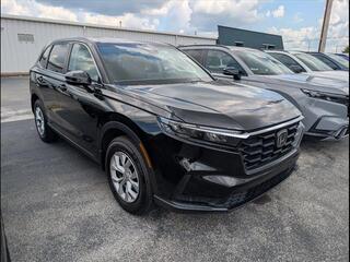 2026 Honda CR-V for sale in Bowling Green KY