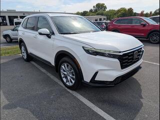 2026 Honda CR-V for sale in Bowling Green KY