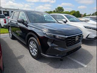 2026 Honda CR-V for sale in Bowling Green KY