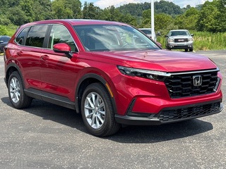 2026 Honda CR-V for sale in Bridgeport WV