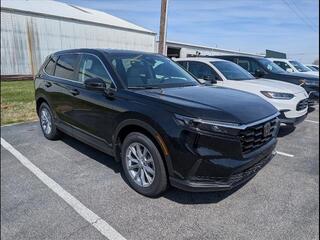 2025 Honda CR-V for sale in Bowling Green KY