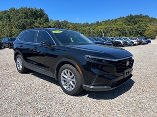 2024 Honda CR-V for sale in Bridgeport WV