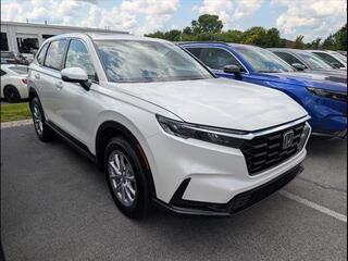 2026 Honda CR-V for sale in Bowling Green KY