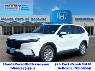 2023 Honda CR-V for sale in Bellevue NE