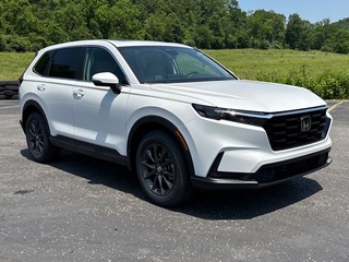 2026 Honda CR-V for sale in Bridgeport WV