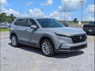 2024 Honda CR-V for sale in Cleveland TN