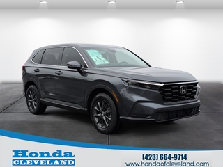 2026 Honda CR-V for sale in Cleveland TN