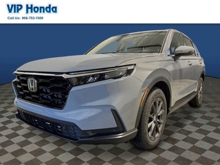2026 Honda CR-V for sale in North Plainfield NJ