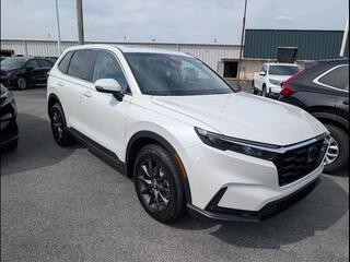 2026 Honda CR-V for sale in Bowling Green KY