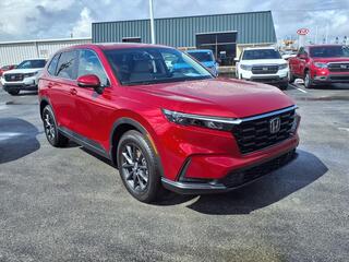 2026 Honda CR-V for sale in Bowling Green KY
