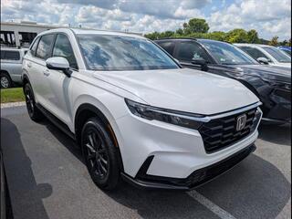 2026 Honda CR-V for sale in Bowling Green KY