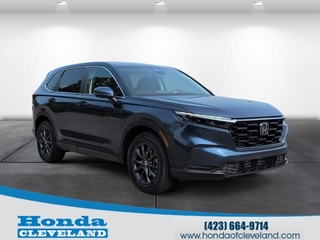 2026 Honda CR-V for sale in Cleveland TN
