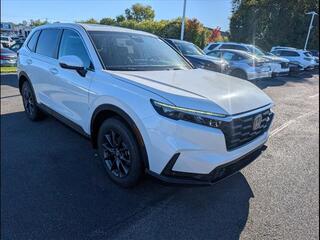 2026 Honda CR-V for sale in Bowling Green KY