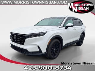 2025 Honda CR-V for sale in Morristown TN
