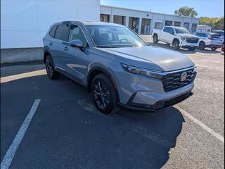 2026 Honda CR-V for sale in Bowling Green KY