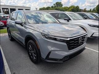 2026 Honda CR-V for sale in Bowling Green KY