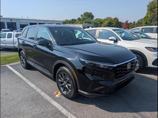 2026 Honda CR-V for sale in Bowling Green KY