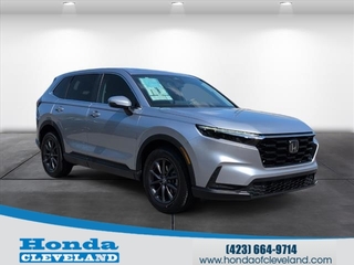 2026 Honda CR-V for sale in Cleveland TN