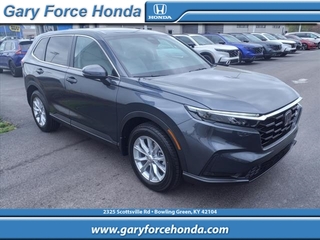 2024 Honda CR-V for sale in Bowling Green KY