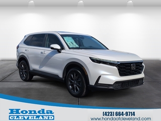 2026 Honda CR-V for sale in Cleveland TN