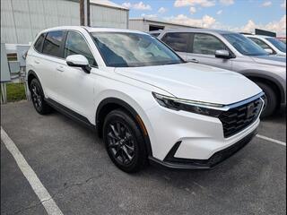 2026 Honda CR-V for sale in Bowling Green KY