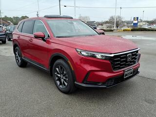 2026 Honda CR-V for sale in Morehead City NC