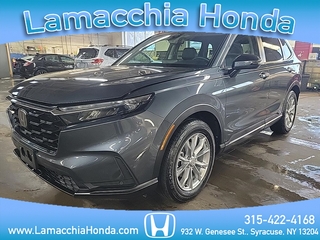 2023 Honda CR-V for sale in Syracuse NY