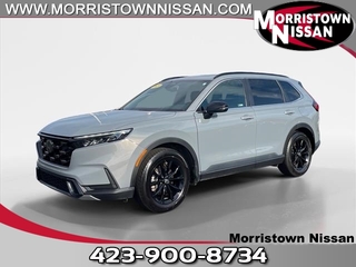 2023 Honda CR-V Hybrid for sale in Morristown TN