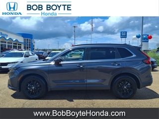 2023 Honda CR-V Hybrid for sale in Brandon MS
