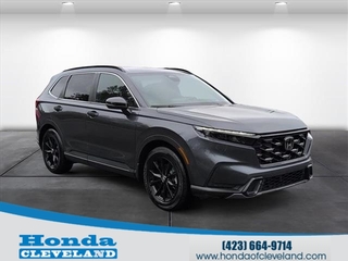 2024 Honda CR-V Hybrid for sale in Cleveland TN