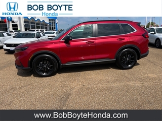 2024 Honda CR-V Hybrid for sale in Brandon MS