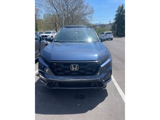 2023 Honda CR-V Hybrid for sale in Johnson City TN