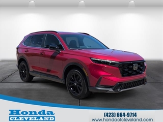 2024 Honda CR-V Hybrid for sale in Cleveland TN