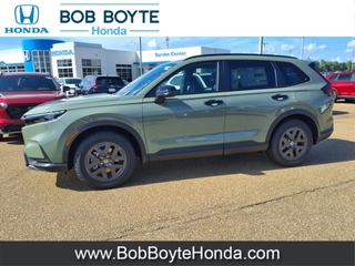 2026 Honda CR-V Hybrid for sale in Brandon MS