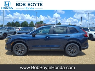 2026 Honda CR-V Hybrid for sale in Brandon MS