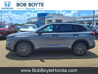 2026 Honda CR-V Hybrid for sale in Brandon MS