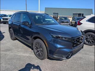 2026 Honda CR-V Hybrid for sale in Bowling Green KY