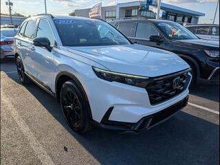 2024 Honda CR-V Hybrid for sale in Bowling Green KY