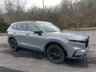 2024 Honda CR-V Hybrid for sale in Bristol TN