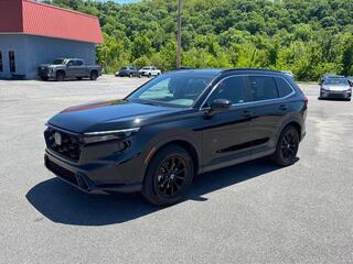 2024 Honda CR-V Hybrid for sale in Kingsport TN