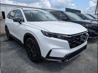 2026 Honda CR-V Hybrid for sale in Bowling Green KY